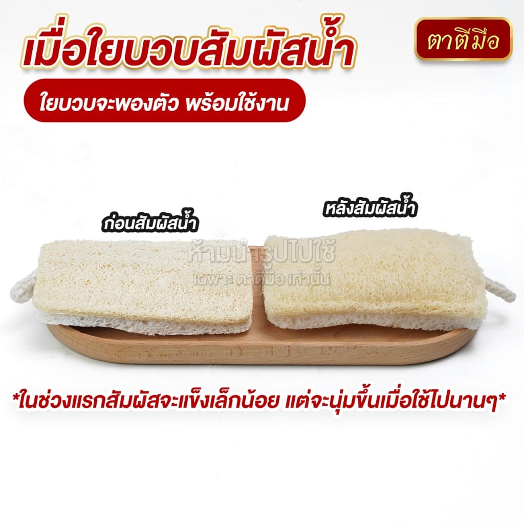 ตาตีมือ ใยบวบล้างจาน 2 หน้า ล้างกระทะ ใยบวบธรรมชาติไม่อัดแบน อ่อนโยนต่อภาชนะ รูปที่ 8