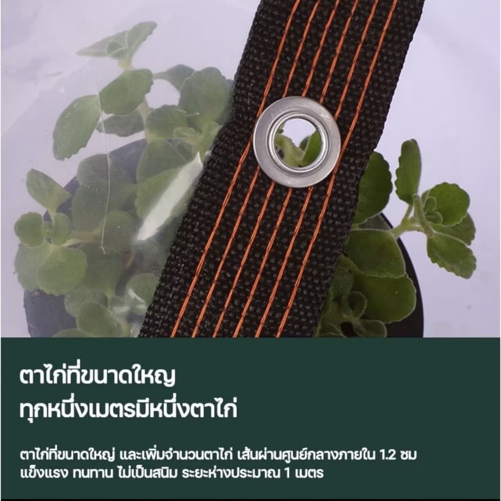 ผ้าใบกันแดดกันฝน พลาสติกใส ผ้าใบใส กันน้ำกันฝน100% วัสดุ PE คุณภาพสูง ผ้าใบกันแดดฝน 2m/3m/5m/6m รูปที่ 6