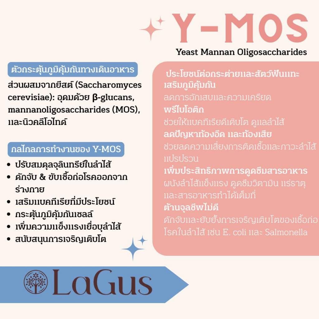 Lagus - อาหารเม็ดสำหรับกระต่าย 1kg รูปที่ 6