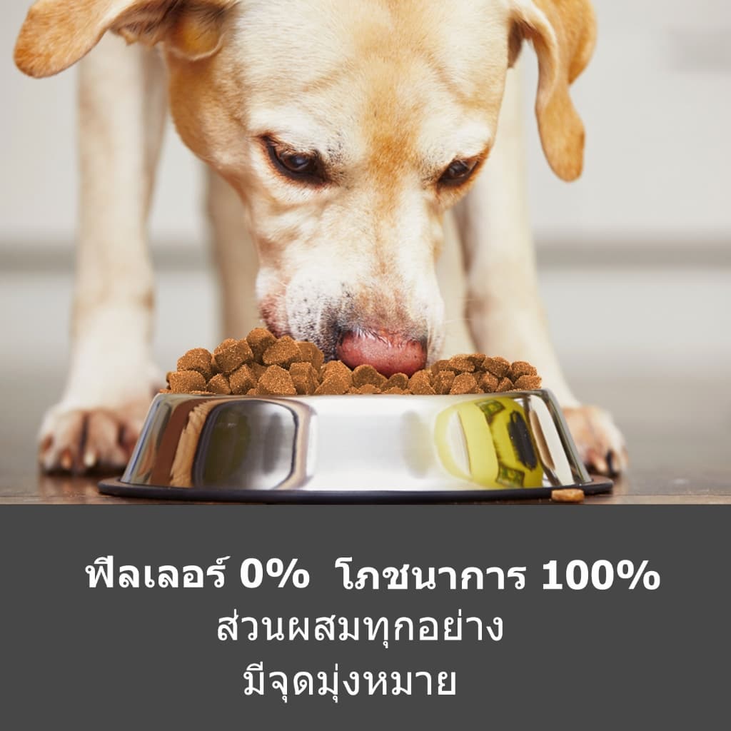 Popoo Hip & Joint Support for Dogs อาหารเสริมสุนัข เสริมสร้างข้อต่อ กระดูก Dogs Treats120 ชิ้น รูปที่ 6
