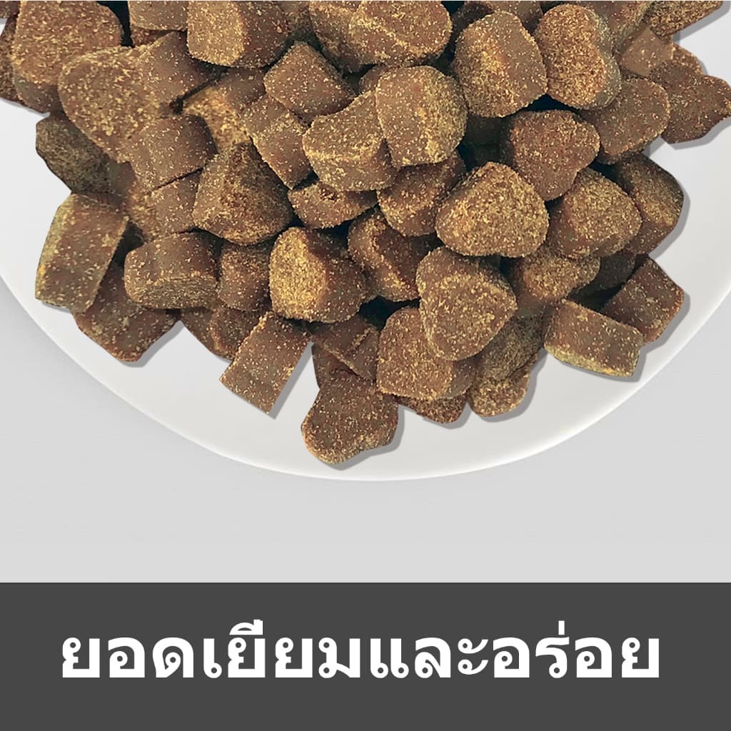 Popoo Hip & Joint Support for Dogs อาหารเสริมสุนัข เสริมสร้างข้อต่อ กระดูก Dogs Treats120 ชิ้น รูปที่ 9