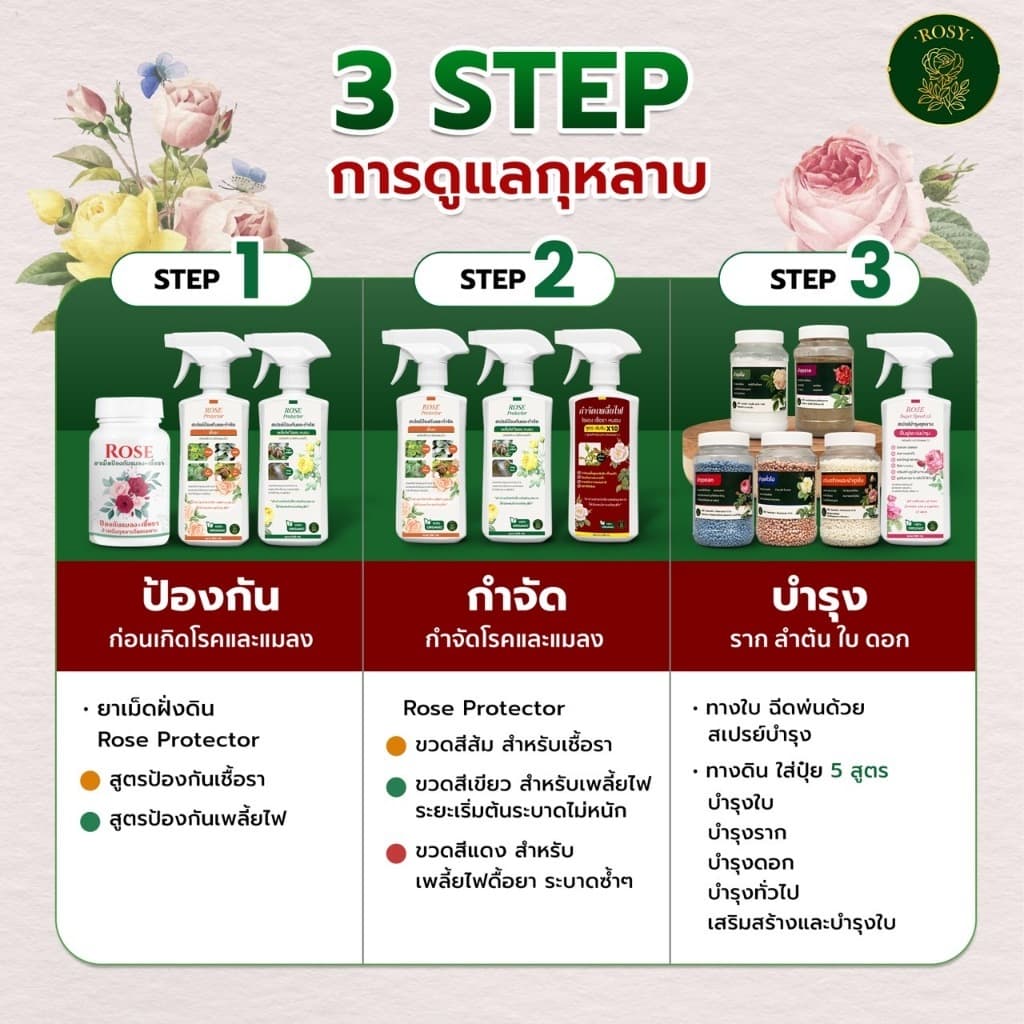 Rosy ปุ๋ยกุหลาบ บำรุงกุหลาบครบทุกส่วนของต้น ต้นกุหลาบจะได้รับสารอาหารครบถ้วน รูปที่ 4