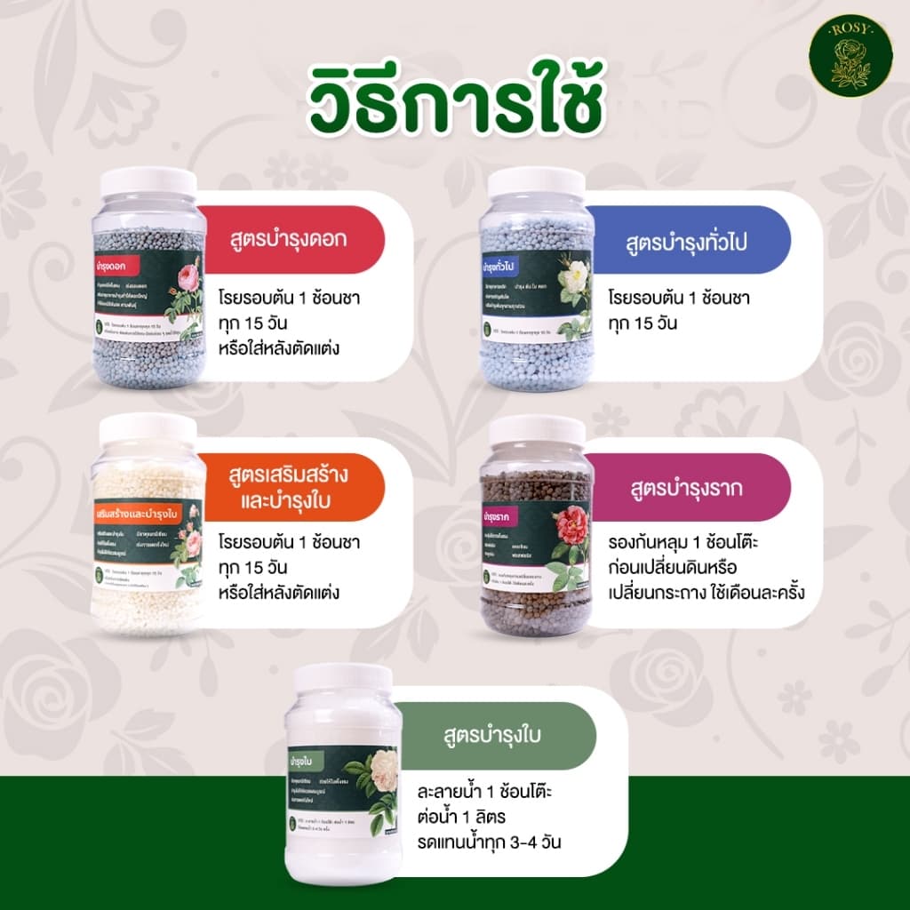 Rosy ปุ๋ยกุหลาบ บำรุงกุหลาบครบทุกส่วนของต้น ต้นกุหลาบจะได้รับสารอาหารครบถ้วน รูปที่ 2