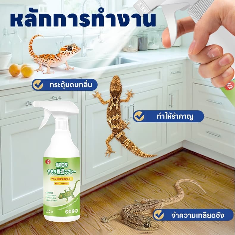 ฉีดปุ๊บ ตุ๊กแกหายปั๊บ สเปรย์ไล่จิ้งจก ไล่จิงจก ไล่ตุ๊กแก ยาฉีดตุ๊กแก น้ํายาไล่จิ้งจก สูตรธรรมชาติ 500 ml รูปที่ 6