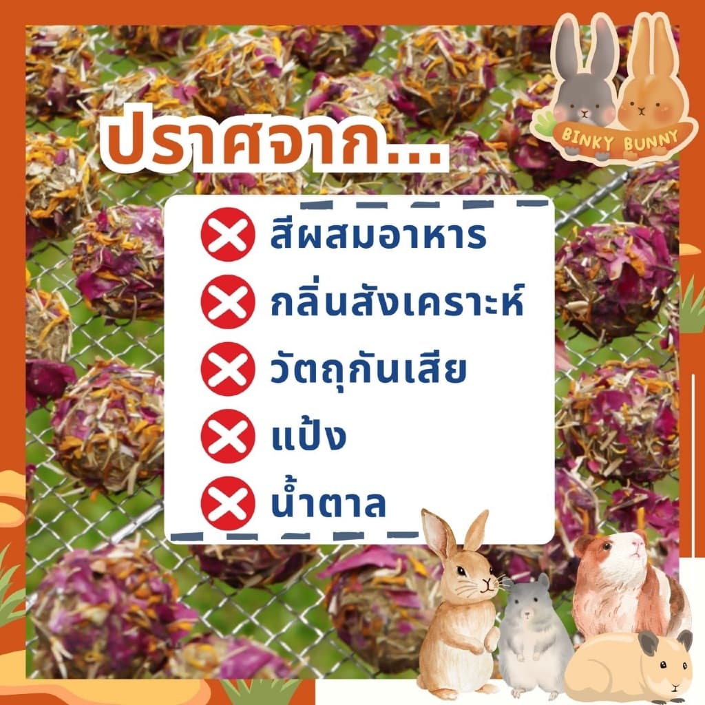 Binky Bunny House ช็อคบอลหญ้าทิโมธี ขนมอบแห้งลับฟันสำหรับสัตว์ฟันแทะ 10 ลูก รูปที่ 4