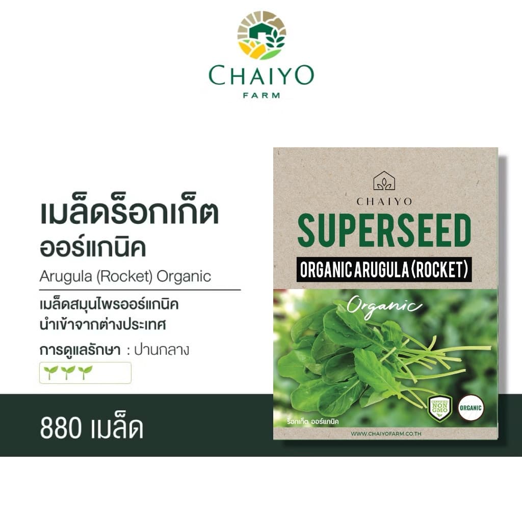 เมล็ด ARUGULA Organic ร็อกเก็ต ออร์แกนิค รูปที่ 1