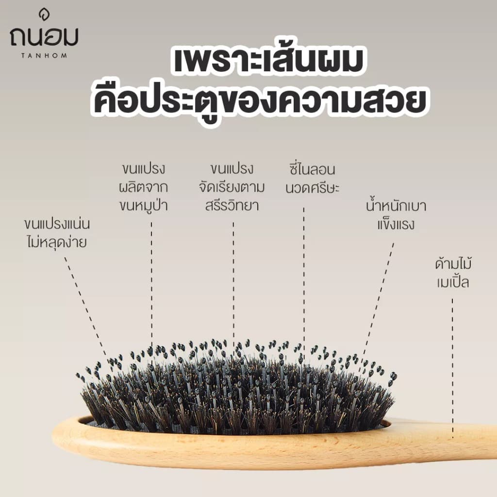 ถูก/แท้/มีไลฟ์ หวีขนหมูป่า TANHOM Boar Bristal Hair Brush ถนอม หวี หวีขนหมูป่าแท้ แปรงหวีผม ลดผมพัน ลดผมชี้ฟู รูปที่ 4