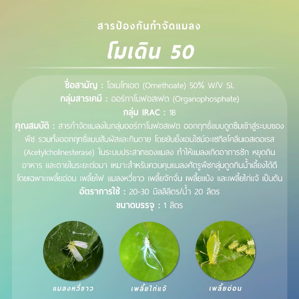 โมเดิน​ 50 จาก ICP ลัดดา ​ 1 ลิตร รูปที่ 2