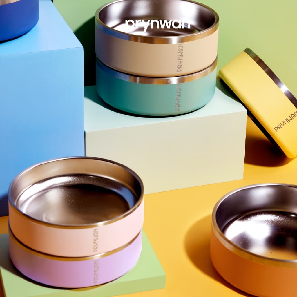 PRYNWAN Pets - Double Wall Stainless Steel Bowl ชามอาหารสัตว์เลี้ยง รูปที่ 3