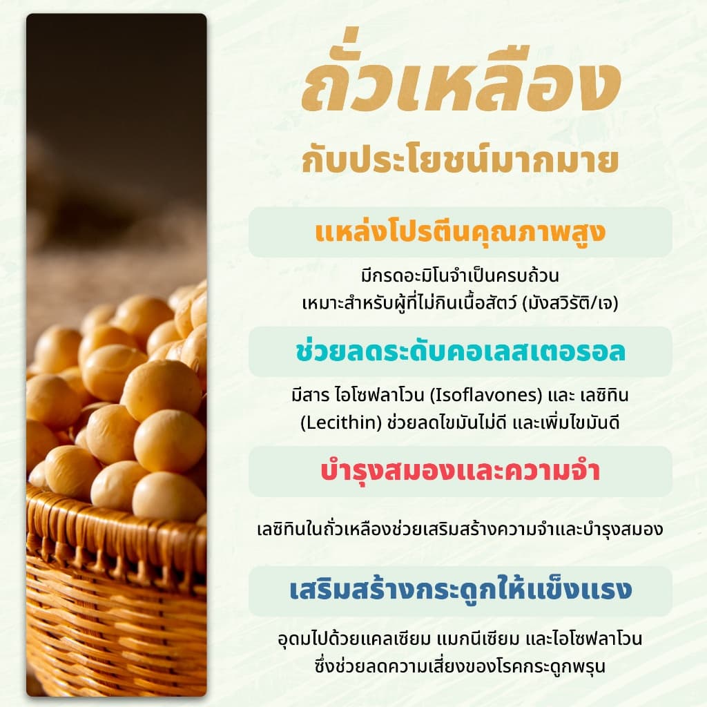 ถั่วเหลืองผ่าซีก ขนาด 500 กรัม / 1 กิโลกรัม | Hulled Split Soya Beans รูปที่ 5