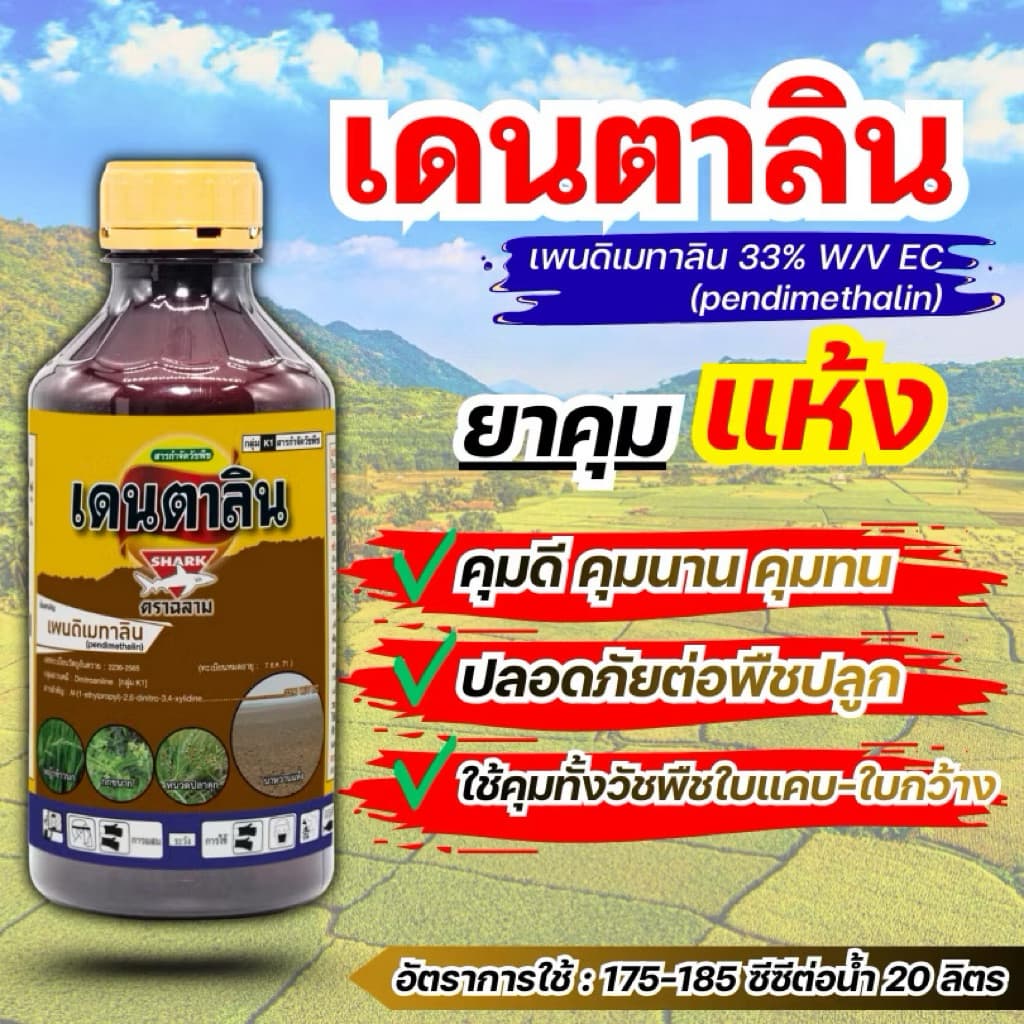 เดนตาลิน คุมแห้งนาข้าว สูตรเข้มข้นพิเศษ เพนดิเมทาลิน ฉีดสบาย ไม่เหม็น ไม่ติดถังฉีด 1 ลิตร รูปที่ 3
