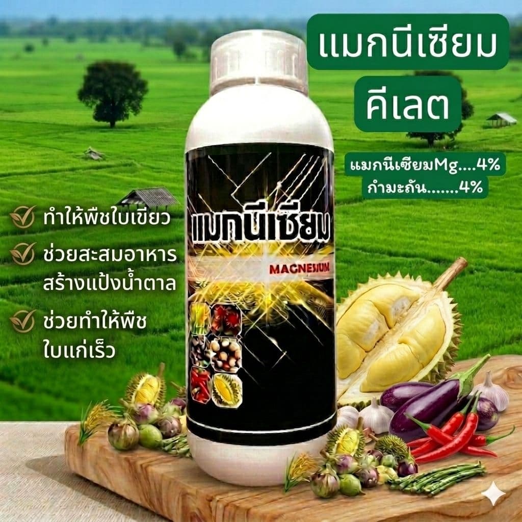 แมกนีเซียม กำมะถัน แมงกานีส โบรอน ใบเขียวเข้ม เร่งใบแก่เร็ว กระตุ้นการกินปุ๋ยเก่ง พืชโตไว รูปที่ 2