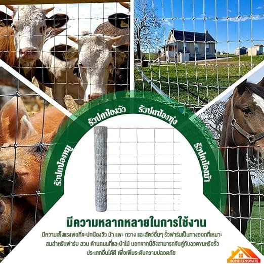 รั้วถักปม/รั้วตาข่าย รั้วตาข่ายแรงดึง แรงดึง ตาข่ายเหล็ก ยาว ลวดตาข่ายถักปม รั้วตาข่ายถักปม รูปที่ 2