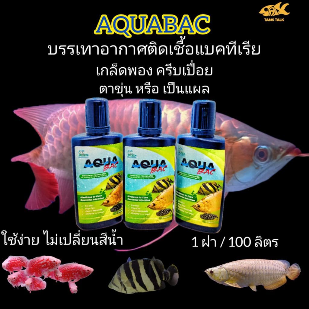 Aqua Bac สารละลายดูแลปลาสวยงาม สำหรับน้ำประปา รูปที่ 4