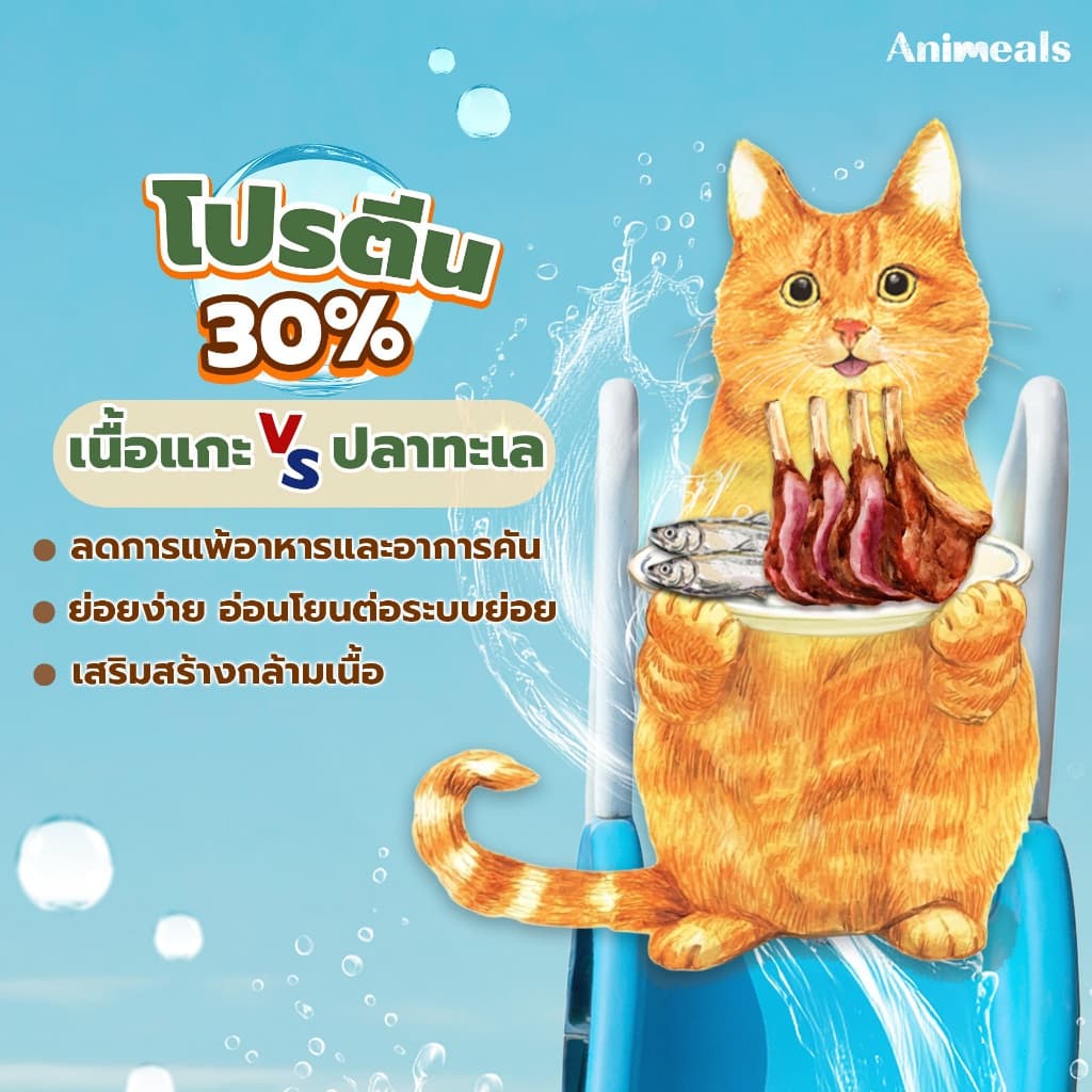 Animeals Sensitive อาหารแมว 1.2kg สูตรแมวแพ้ไก่ ผิวแพ้ง่าย ลดผื่นแดง เกาคัน รสแกะและปลาทะเล กลูเตนฟรี รูปที่ 3