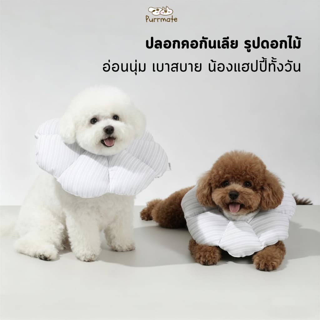 ปลอกคอกันเลียรูปดอกไม้ ปลอกคอหลังผ่าตัด นุ่มสบาย ไม่บาดคอ สำหรับสุนัขแมว รูปที่ 1