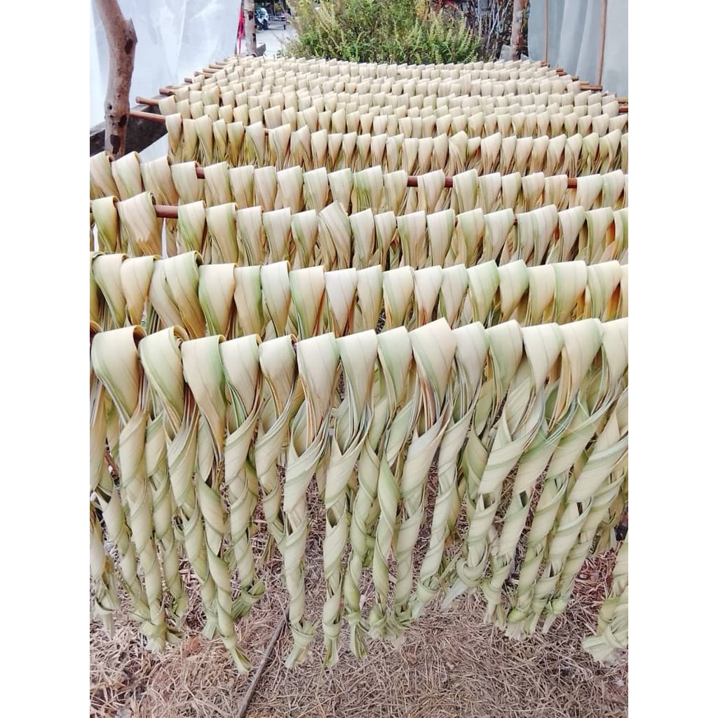 ยอดอ่อนจาก แบบขาว ชุดทดลอง ใบใหญ่ คุณภาพ สินค้าภูมิปัญญา ของจังหวัด ใหญ่พิเศษ รูปที่ 3