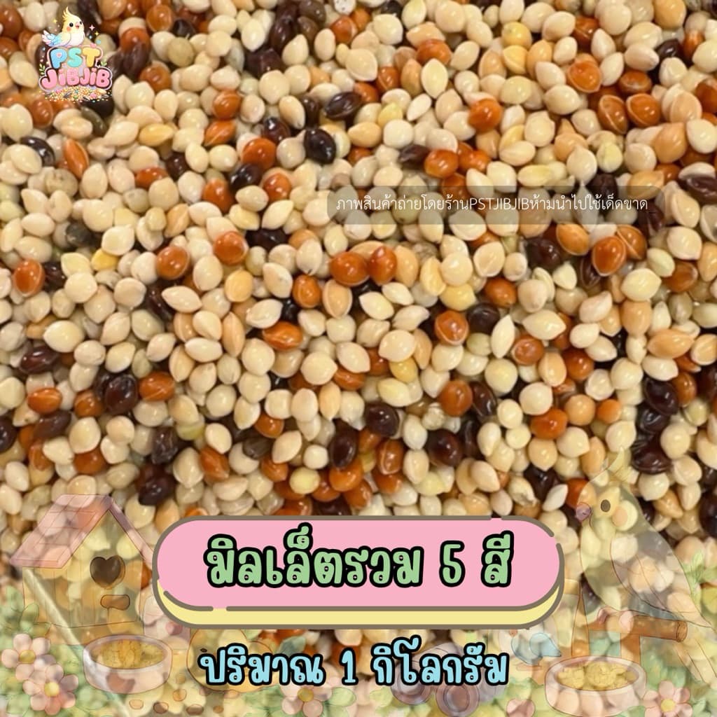 อาหารนกเขาเล็ก มิลเล็ตรวม 5 สี ปริมาณ 1kg. รูปที่ 2