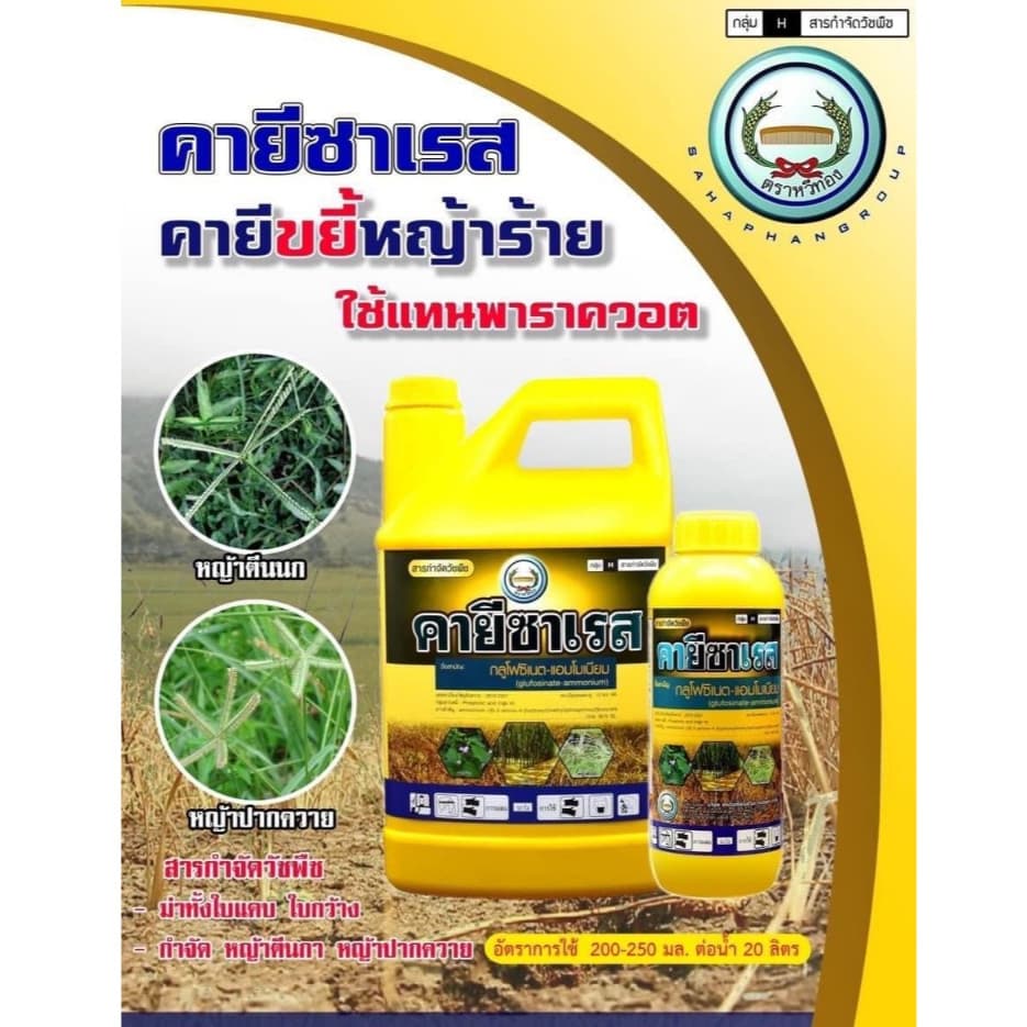 **ยกลัง3แกลลอน*คายีซาเรส กลูโฟซิเนต-แอมโมเนียม ตราหวีทอง 4 ลิตร ใช้ทดแทนพาราควอต กำจัดวัชพืชแบบสัมผัสและดูดซึม ทั้งใบแคบ รูปที่ 4