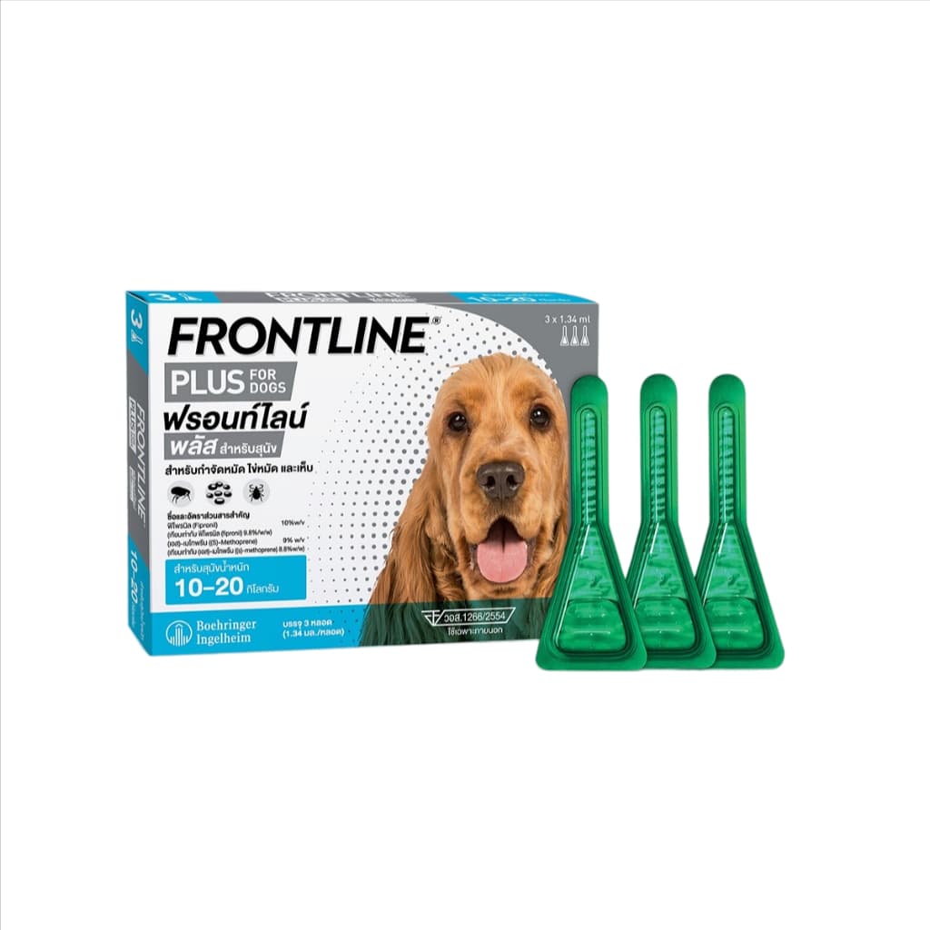 FRONTLINE PLUS DOG Size M ฟรอนท์ไลน์ พลัส ยาหยดกำจัดเห็บหมัด สำหรับสุนัข น้ำหนัก 10-20 กก ยาหยอดเห็บหมัด สุนั รูปที่ 1
