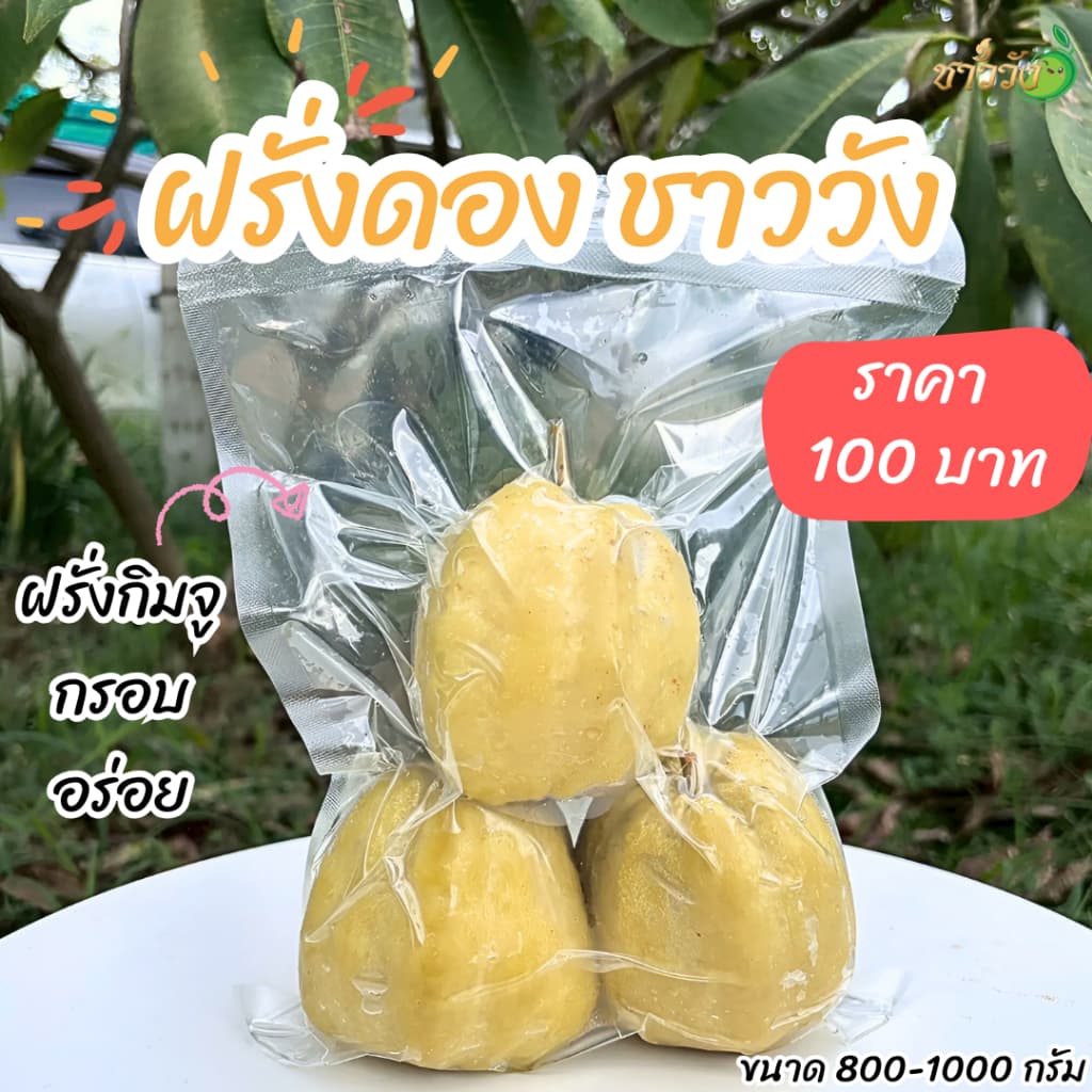 ฝรั่งดองชาววัง กรอบอร่อย ขนาด800 แถมฟรีพริกเกลือ รูปที่ 1