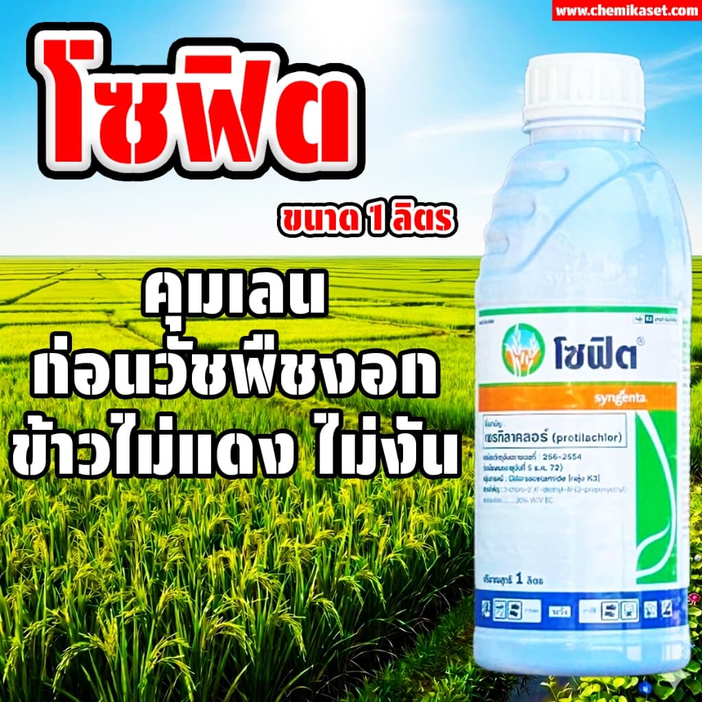 โซฟิต ขนาด 1 ลิตร สารกำจัดวัชพืช คุมฆ่าหญ้า กำจัดวัชพืชได้ทั้งใบแคบและใบกว้าง คุมเลน รูปที่ 1