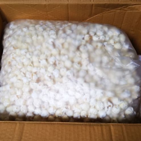 Airpop Popcorn รสธรรมชาติ plain ไม่ใช้น้ำมันหรือเนยในการป๊อบข้าวโพดพันธ์ุเห็ดกลมแน่นอน รูปที่ 7