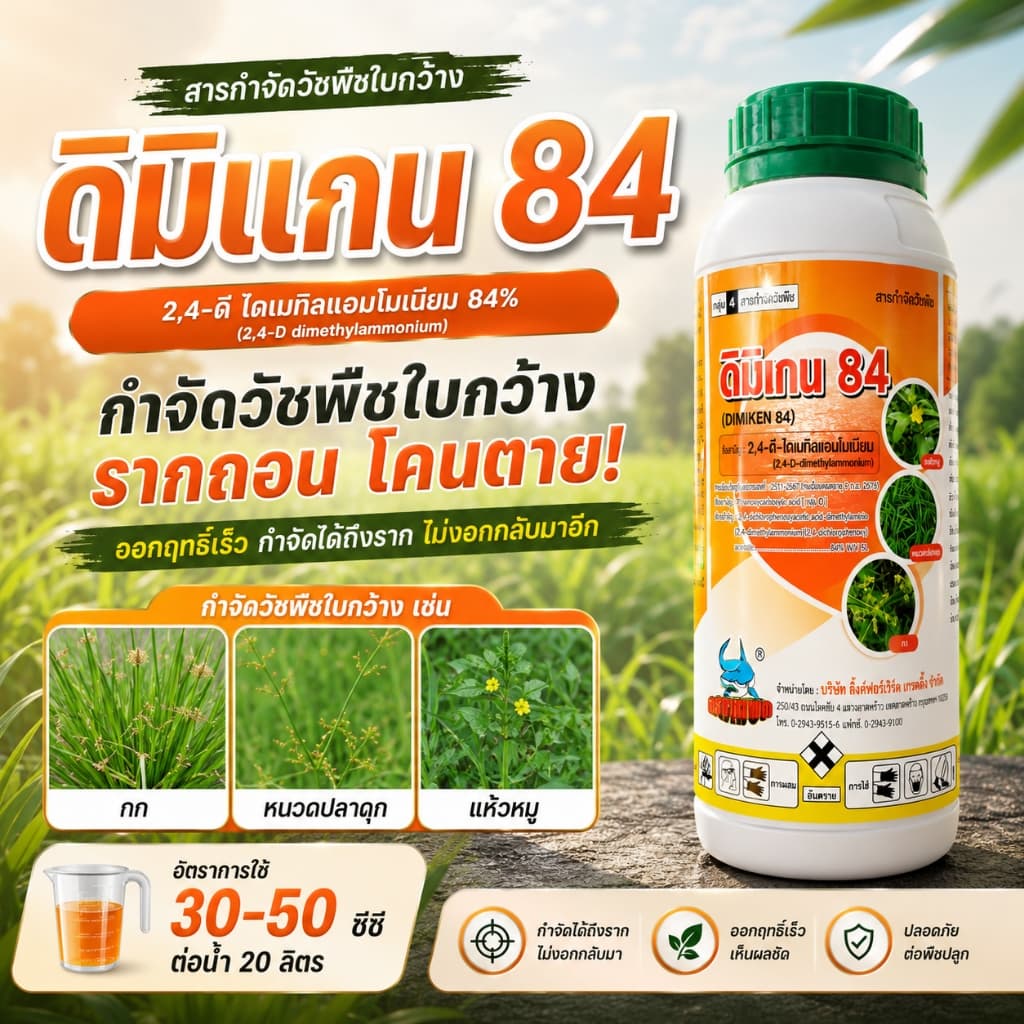 ดิมิเกน84 2,4-ดี ไดเมทิลแอมโมเนียม ทูโฟดีน้ำ กำจัดวัชพืชใบกว้าง กก หนวดปลาดุก ผักบุ้ง โสน รูปที่ 1