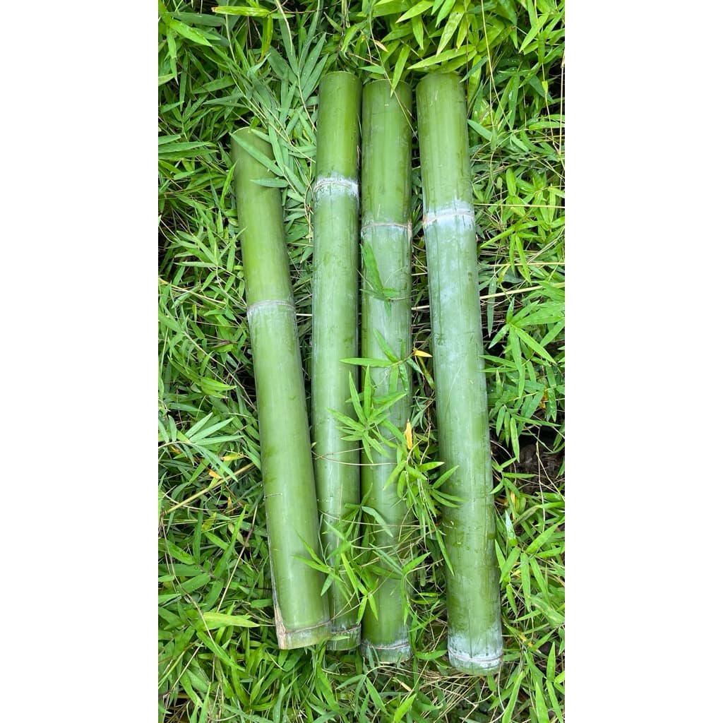 กระบอกไม้ไผ่ยิ้มแย้ม1ชิ้น สำหรับงานDIY แจกันและตกแต่ง ขนาด55-70cm หอมกลิ่นไผ่อ่อนๆตัดสดใหม่จากกอ รูปที่ 2
