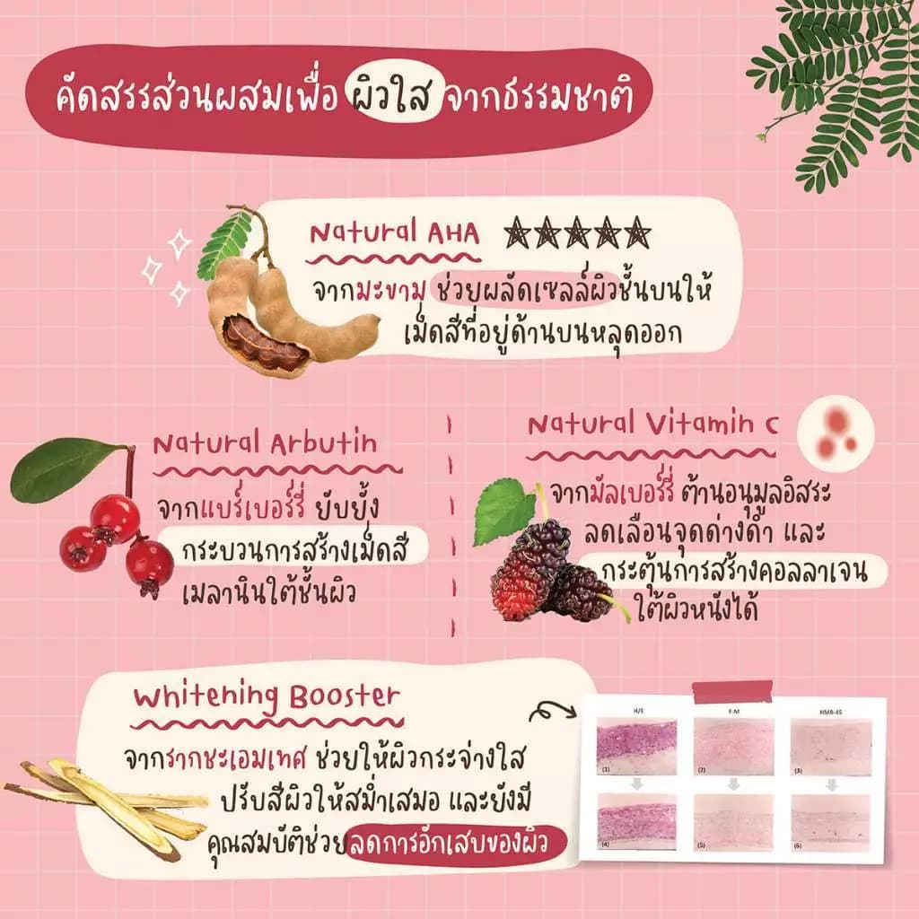 เขาค้อทะเลภู บอดี้สครับ สูตรมะขาม 100 ก. / Khaokho Talaypu Tamarind Body Scrub 100g. รูปที่ 6