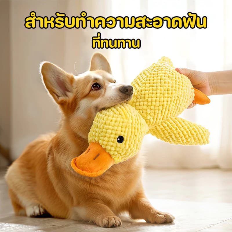 ของเล่นสุนัข ของเล่นแมว ตุ๊กตาเป็ดที่มีเสียงในตัว ของเล่นแบบโต้ตอบ CW71 รูปที่ 4