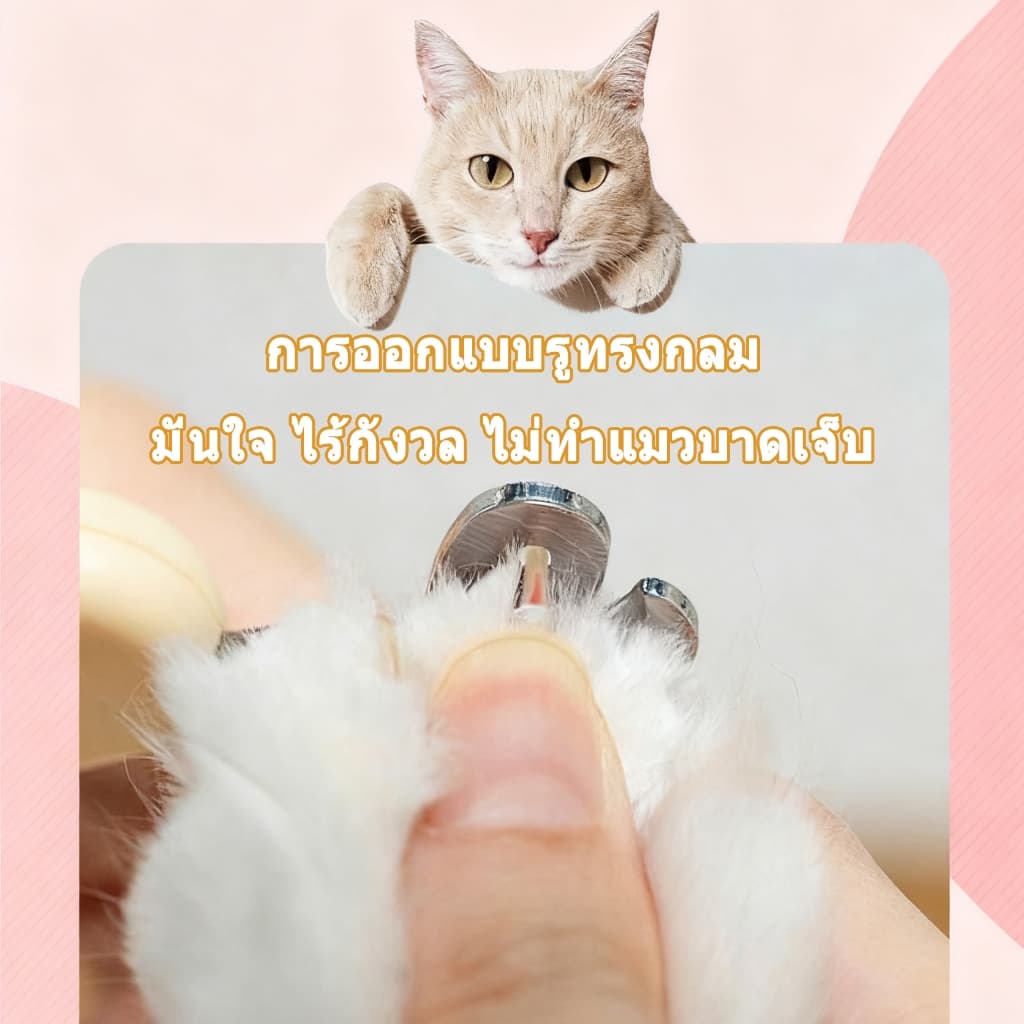 กรรไกรตัดเล็บ แมว กรรไกรตัดเล็บสุนัข ที่ตัดเล็บแมว สุนัขเล็ก ใช้ง่ายแม้มือใหม่ ใบมีดสแตนเลสทนทาน ใช้งานง่าย กรรไกรตัด รูปที่ 6