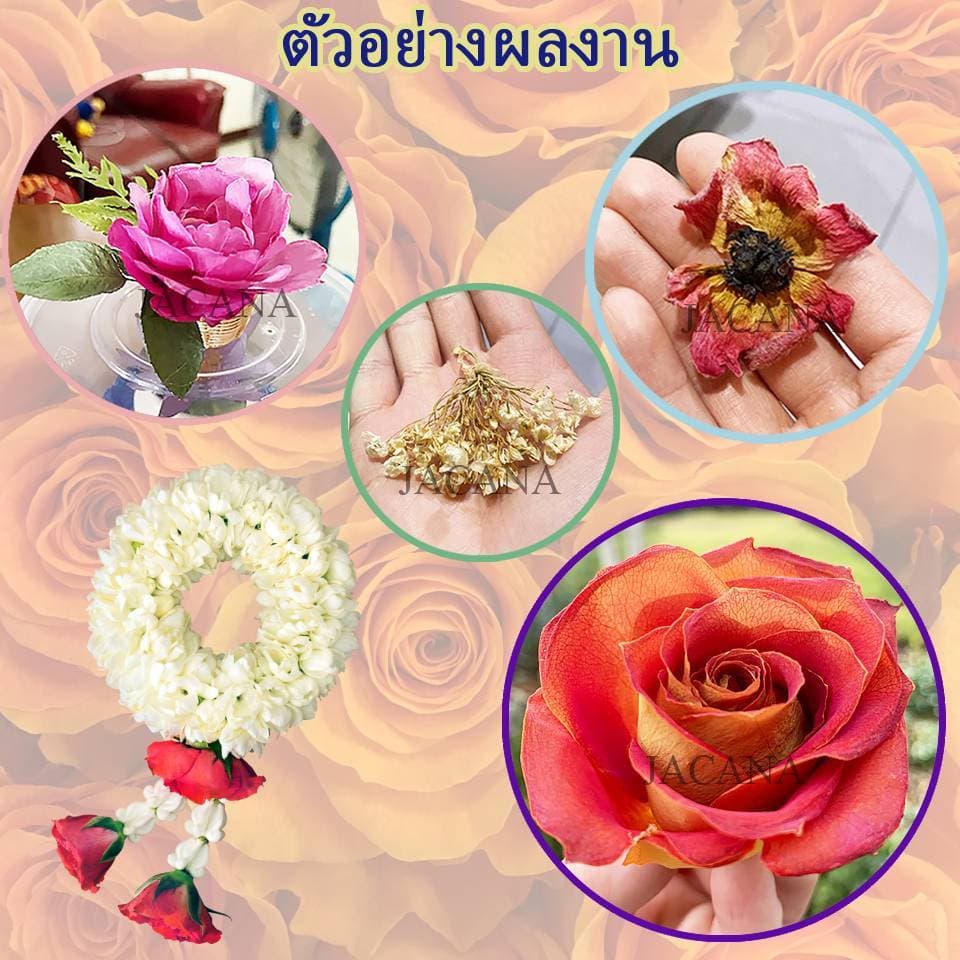ถูกที่สุด ซิลิก้าทราย 3 กิโล. สำหรับทำดอกไม้แห้ง มาลัยบ่าวสาว Silica gel สารกันชื้น ซองกันชื้น รูปที่ 3