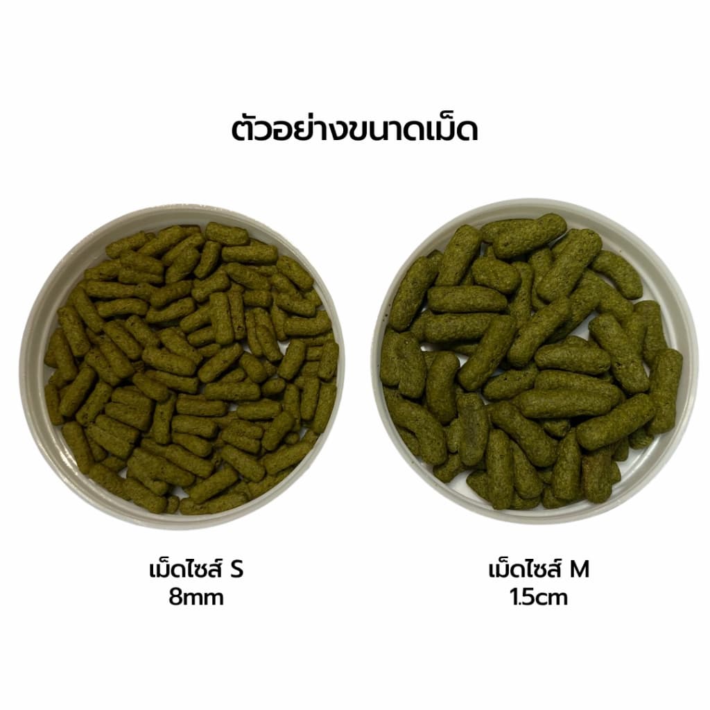 SAKURA SPECIAL TURTLE & REPTILE อาหารเต่า และสัตว์เลื้อยคลาน สูตรเร่งโต กระดองใหญ่ สุขภาพดี รูปที่ 7