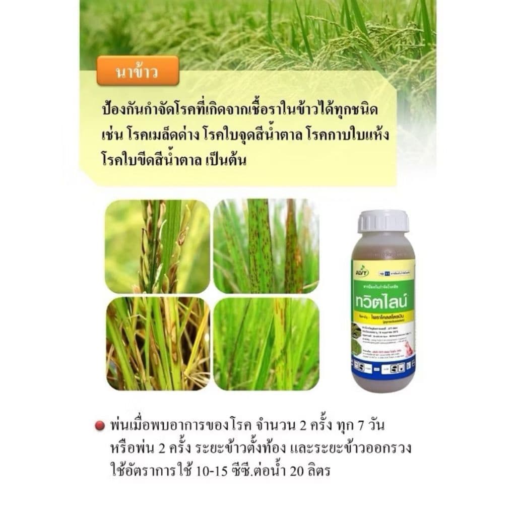 คาซู่ 1 ลิตร คาซูกาไมซิน แบคทีเรีย ไวรัส ใบส้ม ใบขีด ใบจุด ใบโปร่งแสง เชื้อรากาบใบแห้ง รูปที่ 3