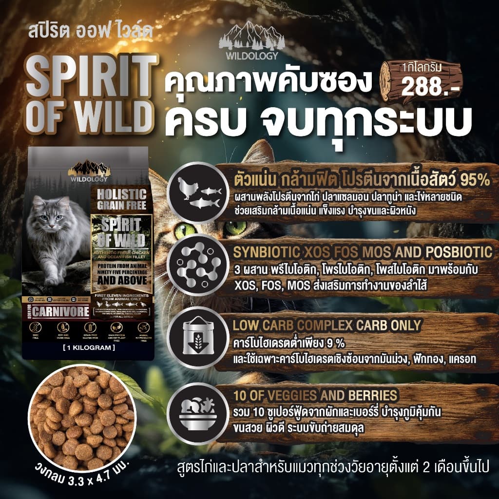 อาหารแมวแบบเม็ดโฮลิสติกเกรนฟรี ไวลด์โอโลจี สำหรับแมวทุกช่วงวัย 1 KG รูปที่ 5