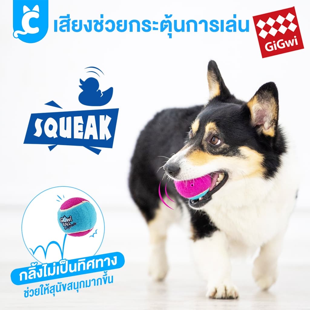 GiGwi ของเล่นสุนัข ลูกบอลลูกเทนนิส แพ็ค 3 ลูก บีบมีเสียง เด้งได้ Tennis Ball CleverPet รูปที่ 3