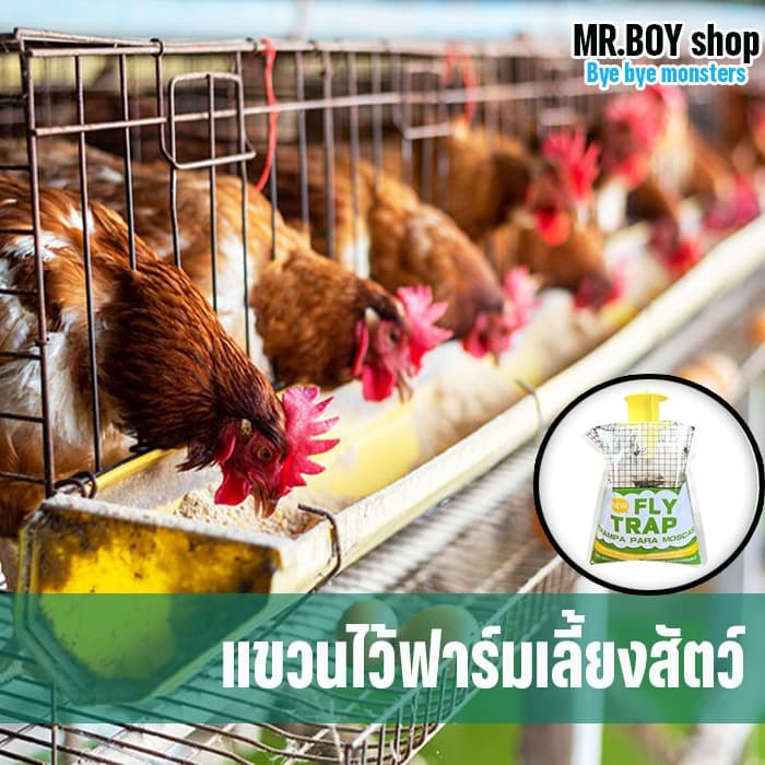 กับดักแมลงวัน แมลงหวี่ แมลงต่างๆ แบบใช้แล้วทิ้ง ปลอดสารเคมี สะดวก ใช้ง่าย ฟรีเหยื่อ 1 ชุด รูปที่ 9