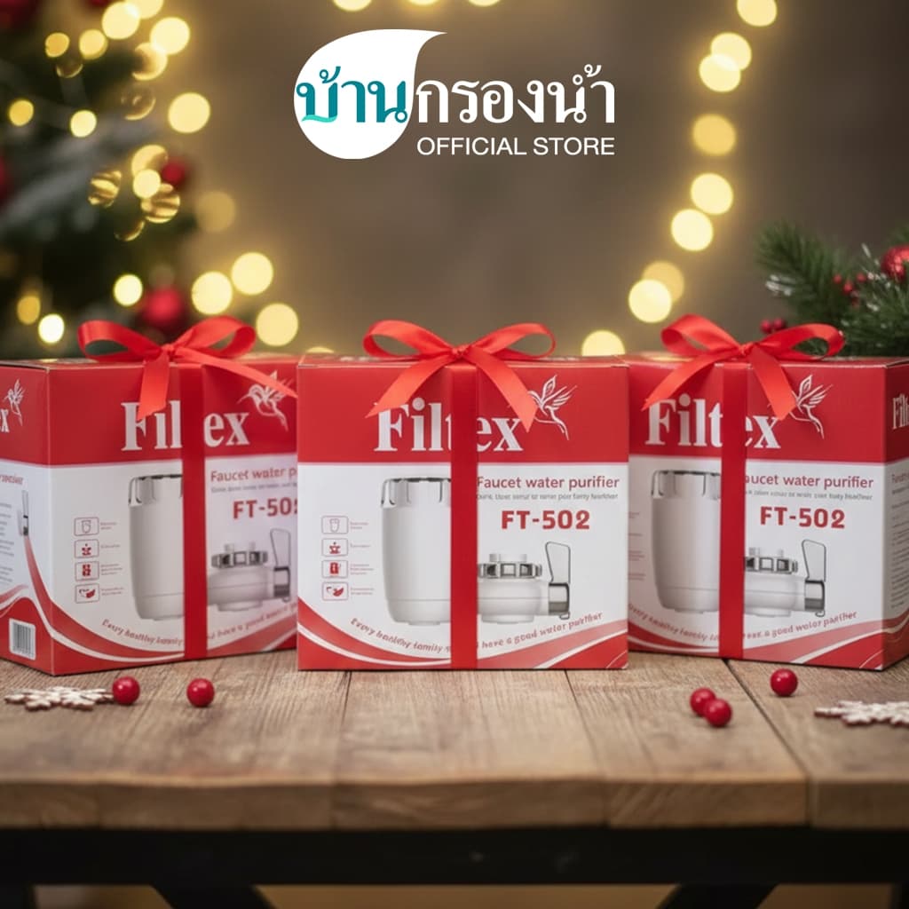 Filtex เครื่องกรองน้ำดื่ม ต่อปลายก๊อก FT-502 รูปที่ 2