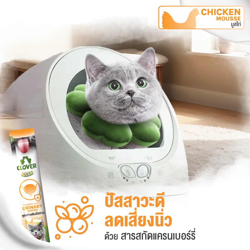 Clover Lickies วิตามินแมวเลีย เสริมสุขภาพแมว รูปที่ 3