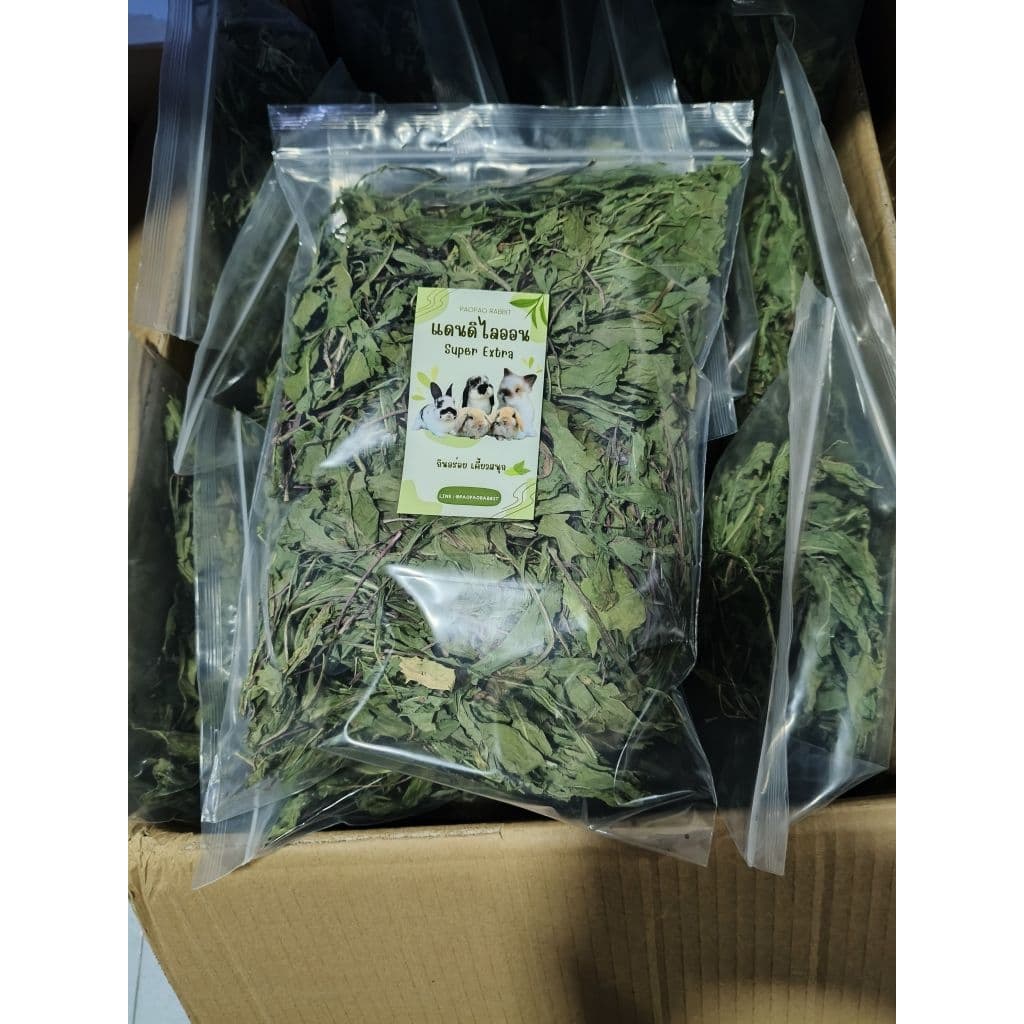 ต้นแดนดิไลออน Dandelion สำหรับสัตว์เลี้ยง รูปที่ 6