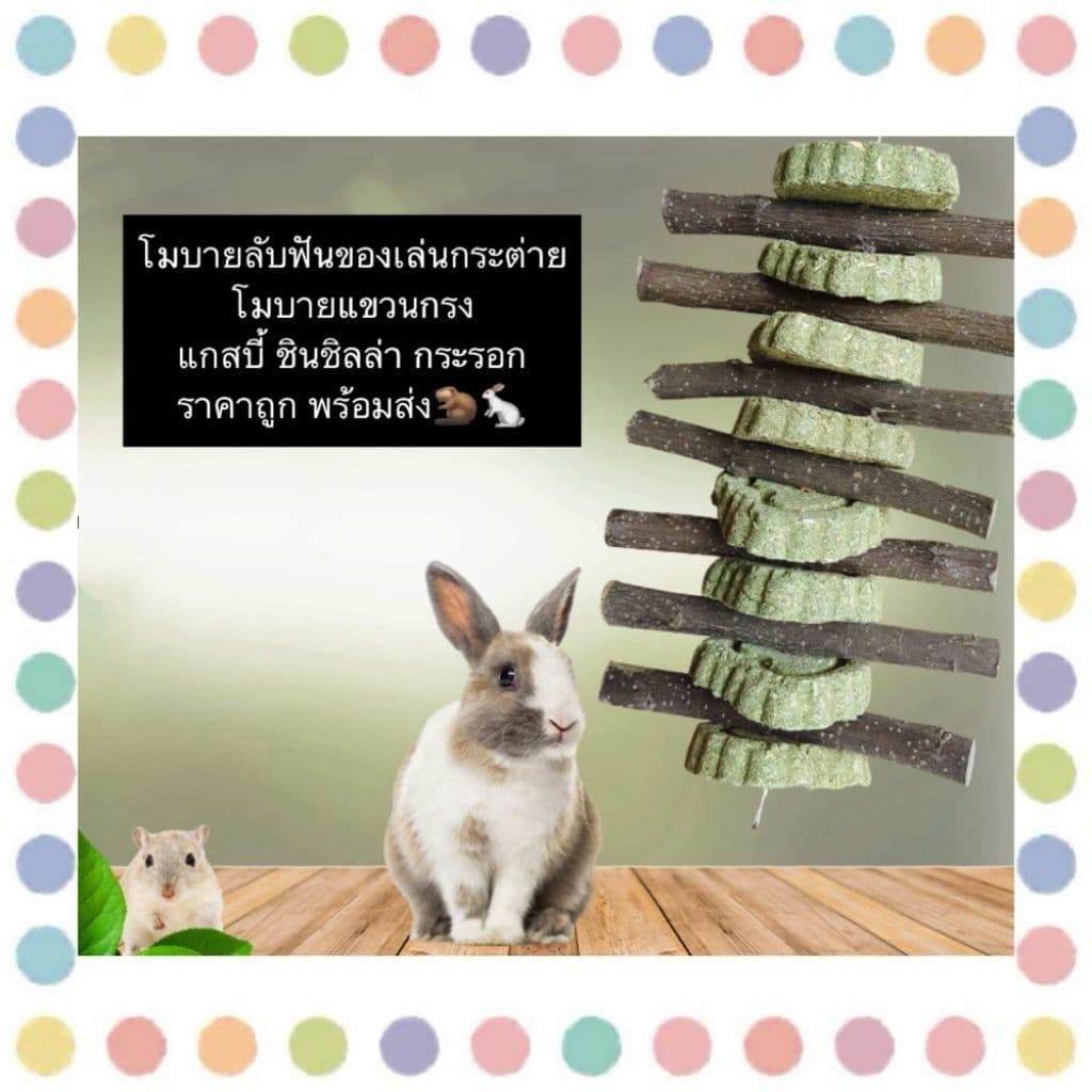 โมบายคุ้กกี้ทิโมธี คุ้กกี้หญ้า สำหรับสัตว์ฟันแทะ ของเล่นคลายเครียด รูปที่ 2