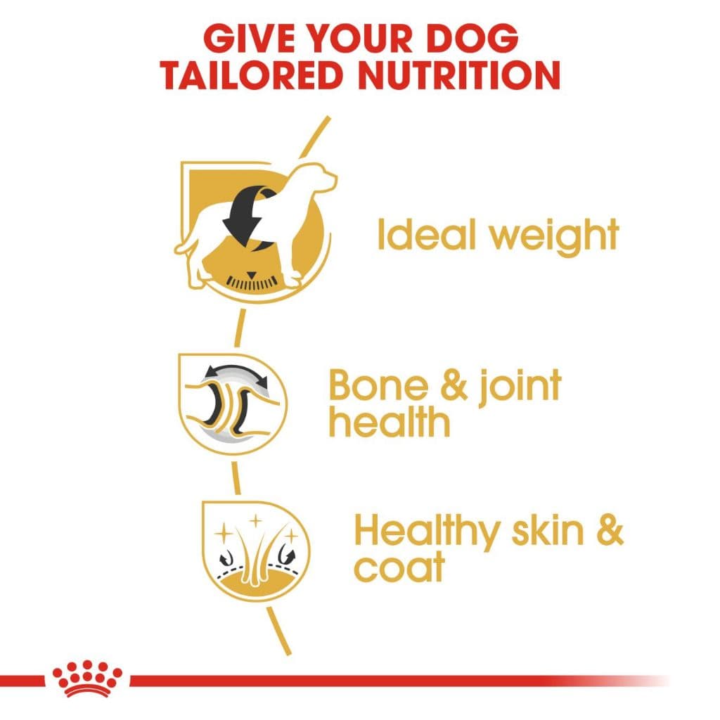 ROYAL CANIN LABRADOR ADULT สุนัข1ปีขึ้นไป สูตรเฉพาะสายพันธ์ กระสอบ 12 กิโลกรัม{อาหารสุนัขเม็ด} รูปที่ 4