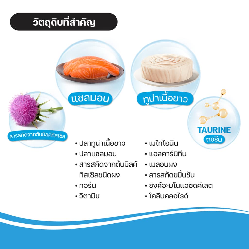 VFcore HP วิตามินแมวเลีย สูตรบำรุงตับ รูปที่ 7