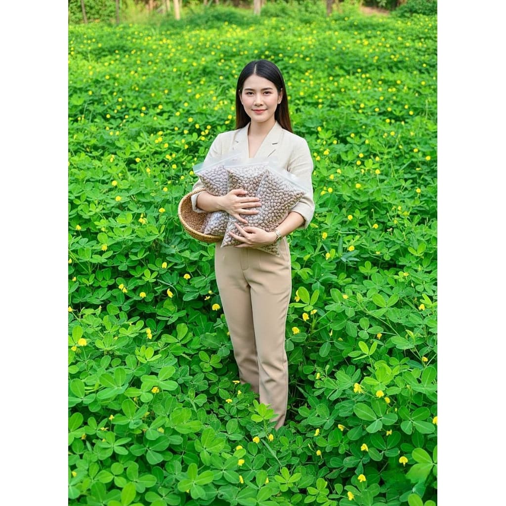 เมล็ดพันธุ์ถั่วบราซิล 100 เมล็ด ถั่วบราซิล ปลูกคลุมดิน รูปที่ 1