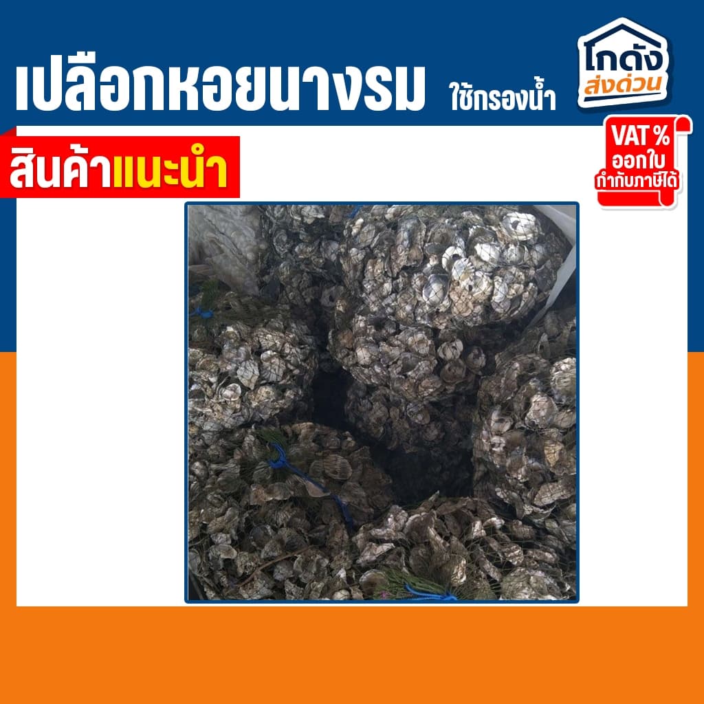เปลือกหอยนางรม 6 kg.ใส่ถุงตาข่ายอวนเขียว พร้อมใช้งาน รูปที่ 5