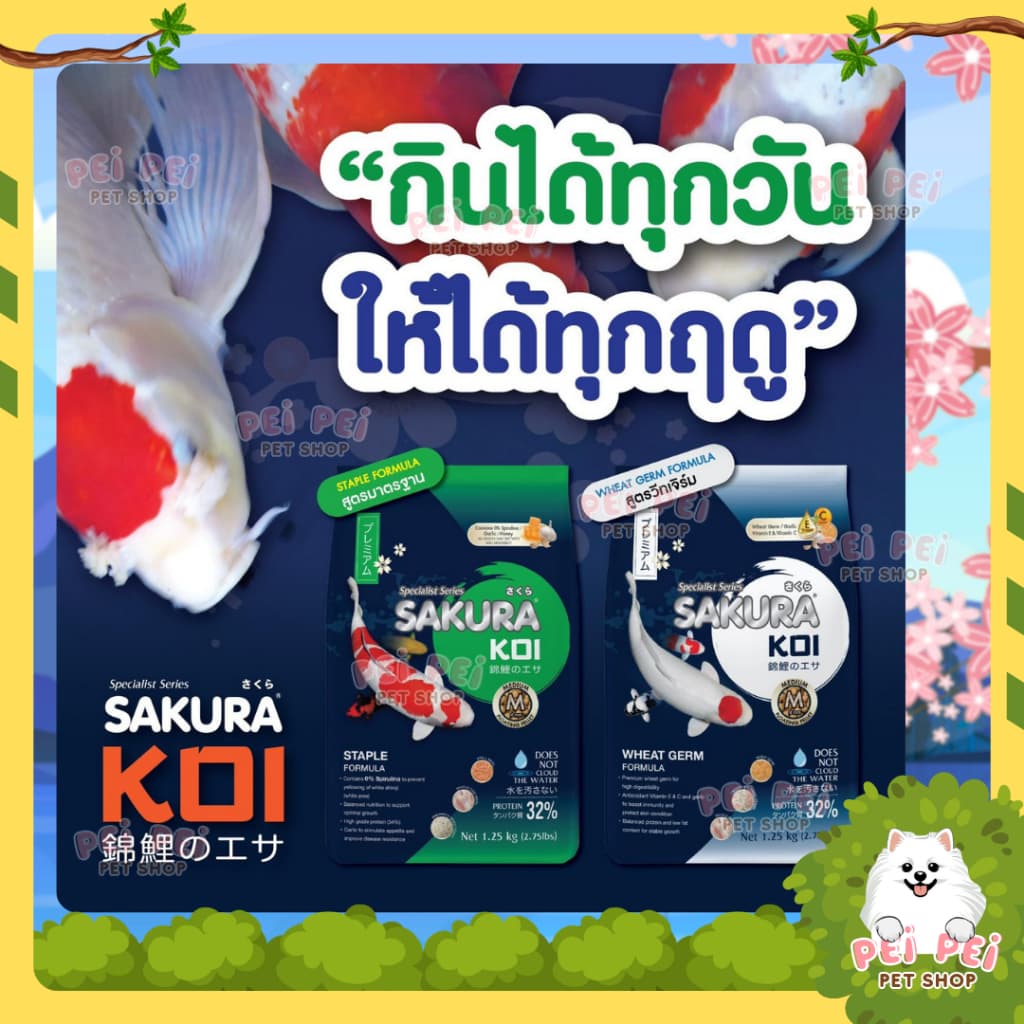 Flash Saleอาหารปลาคาร์ฟ Sakura Koi สูตรสมดุล Staple Formular ขนาด 1.25 กก และ 6.5 กก รูปที่ 3