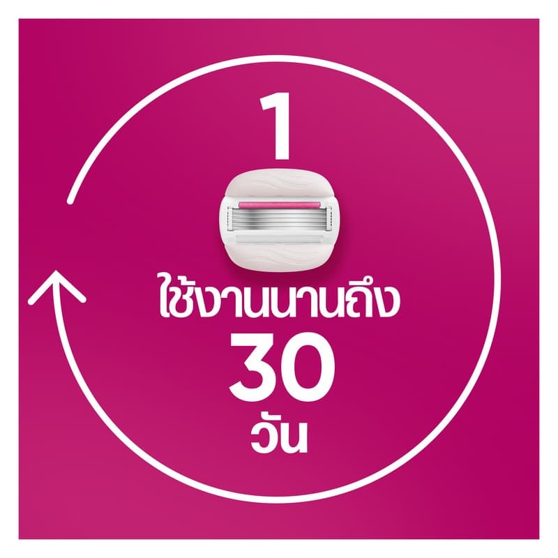 ยิลเลตต์ วีนัส ชูการ์เบอร์รี่ มีดโกน 1 ด้าม พร้อม 6 ชิ้น Gillette Venus Sugarberry Razor and 6 Blades รูปที่ 5