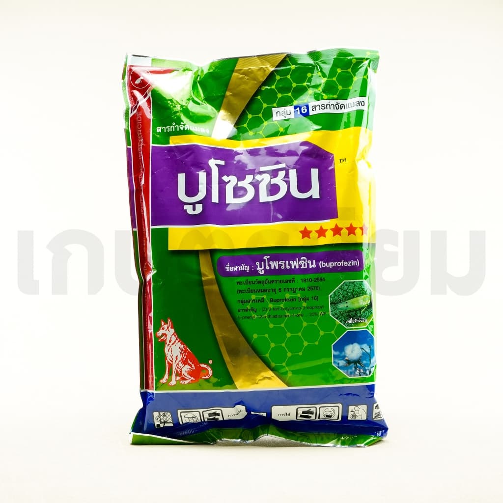 บูโซซิน 1 กิโลกรัม รูปที่ 3