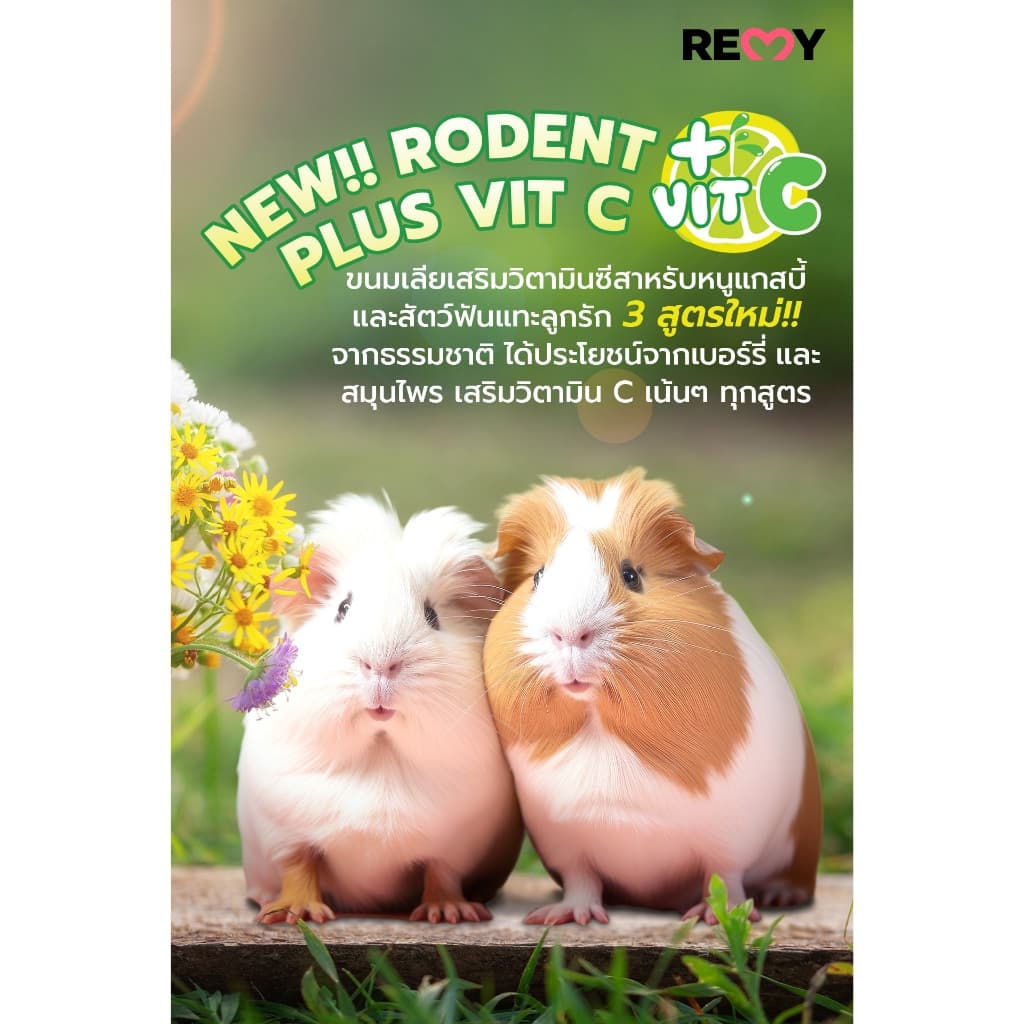 Remy เรมี่ ขนมเลียจากผักผลไม้ เสริมภูมิคุ้มกัน สำหรับกระต่ายและสัตว์ฟันแทะแฮมเตอร์ ชูก้าไกเดอร์แกสบี รูปที่ 6